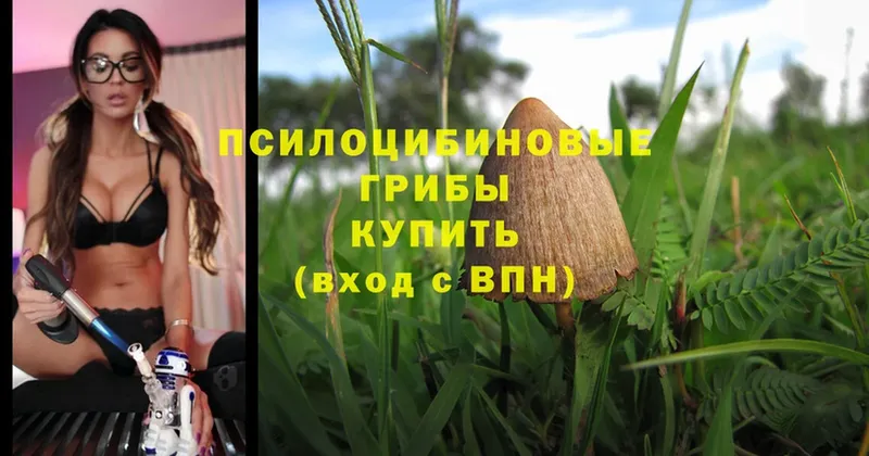 Галлюциногенные грибы MAGIC MUSHROOMS  где можно купить наркотик  Октябрьский 